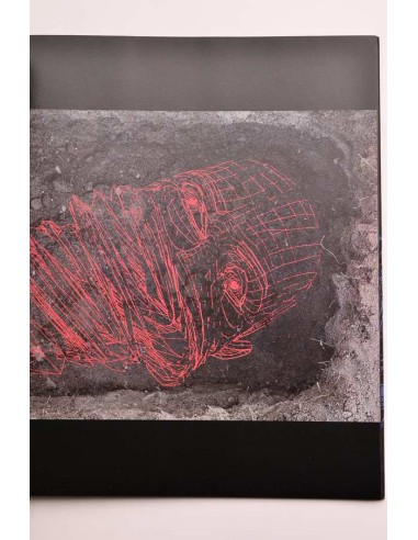 Carne. María Núñez