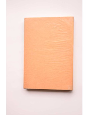 Nuevo manual de urbanidad, cortesanía, decoro y...