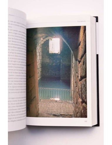 Los Omeyas y la formación de Al-Andalus