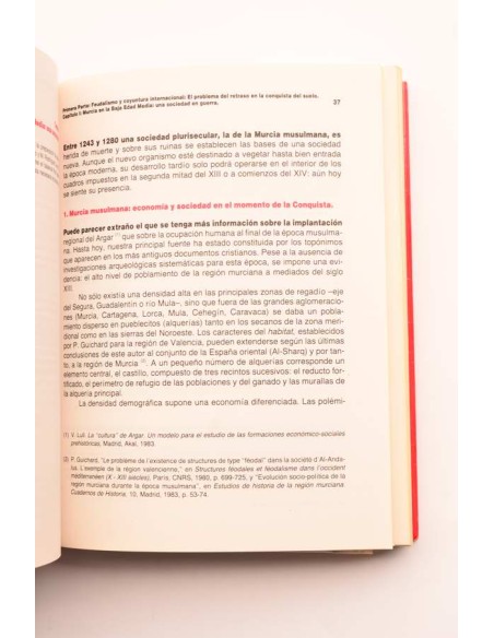 El proceso de modernización de la Región Murciana. (siglos XVI-XIX)