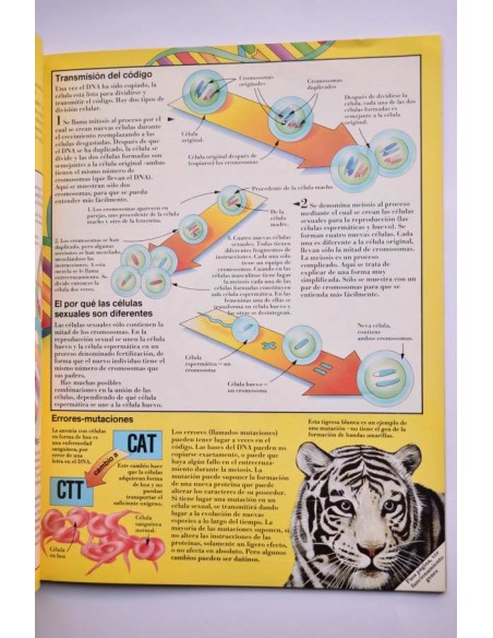 El libro de la Evolución