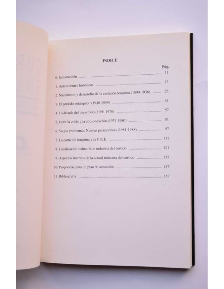 Curtido en Lorca. Cuadernos económicos