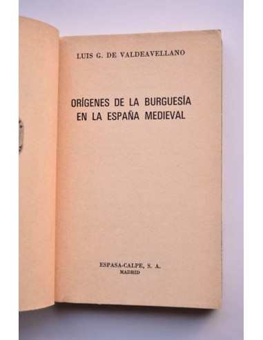 Orígenes de la burguesía en la España medieval