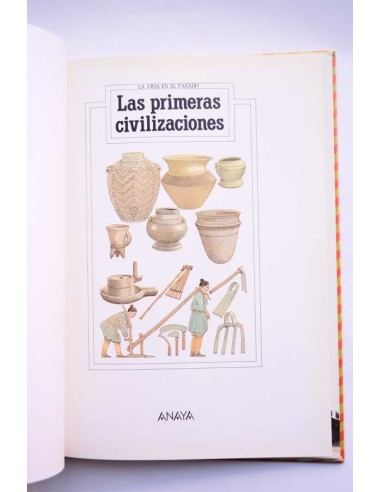 La vida en el pasado. Las primeras civilizaciones
