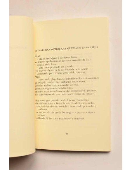 El sueño herido