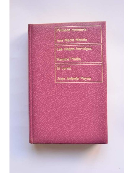 Primera memoria - Las ciegas hormigas - El curso