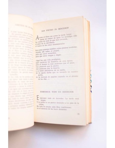 José Ramón Medina. Poesía plural