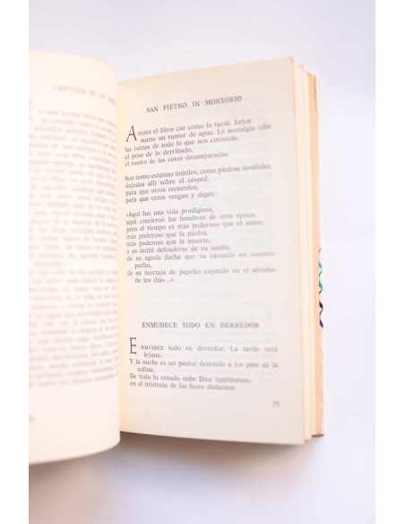 José Ramón Medina. Poesía plural