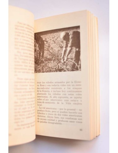 Manual de los vinos de cataluña