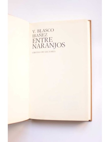 Entre naranjos