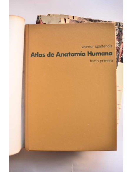 Atlas de anatomía humana