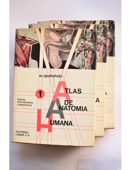 Atlas de anatomía humana