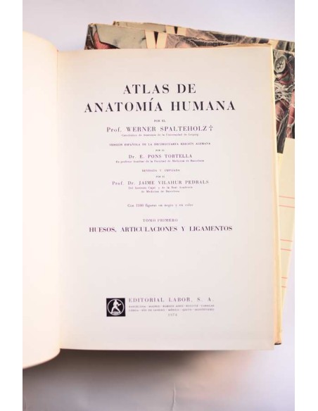 Atlas de anatomía humana