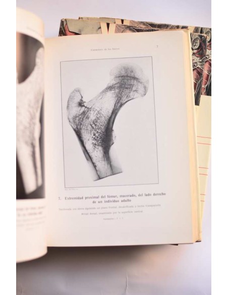 Atlas de anatomía humana