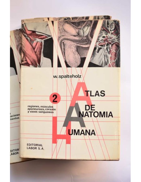 Atlas de anatomía humana