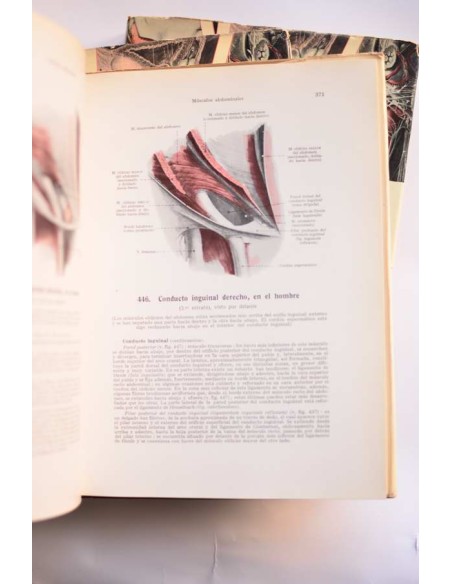 Atlas de anatomía humana