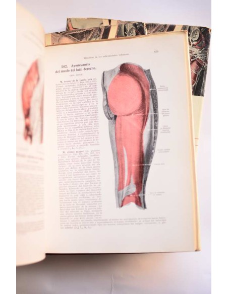 Atlas de anatomía humana