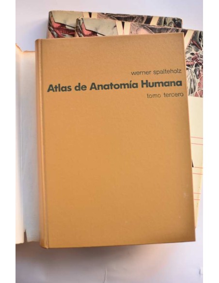 Atlas de anatomía humana