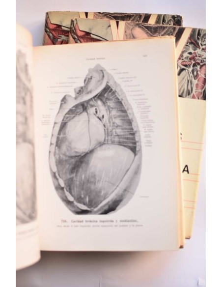 Atlas de anatomía humana