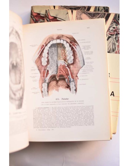 Atlas de anatomía humana