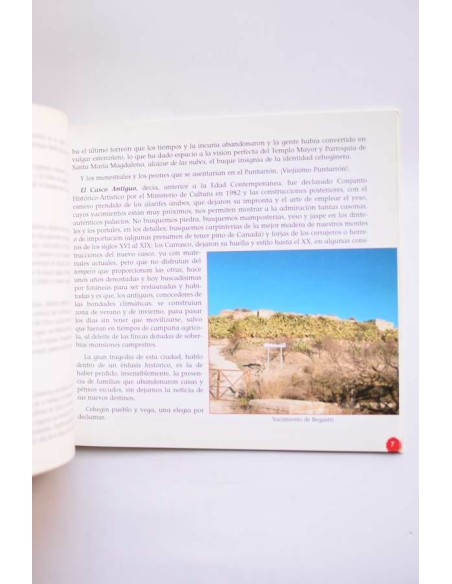 Cehegín: reseña histórica y artística