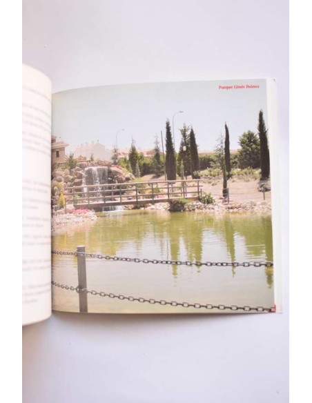 Cehegín: reseña histórica y artística