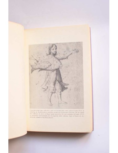 Más allá de nuestra Vía Láctea