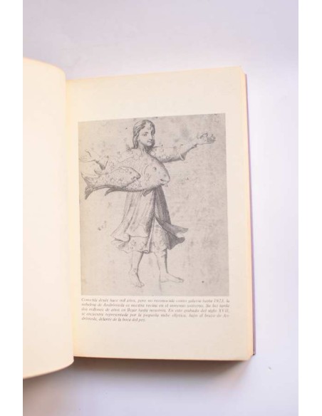 Más allá de nuestra Vía Láctea