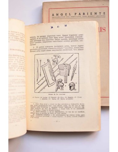 Ludus Latinus