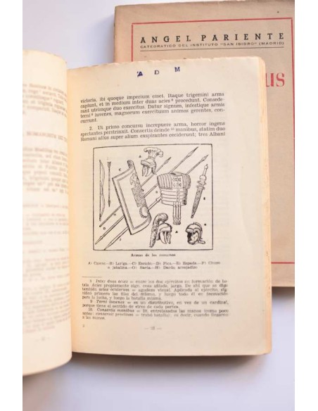 Ludus Latinus