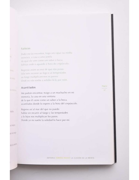 ANTARIA 9.- Noviembre 2008  - La ilusión de la mente