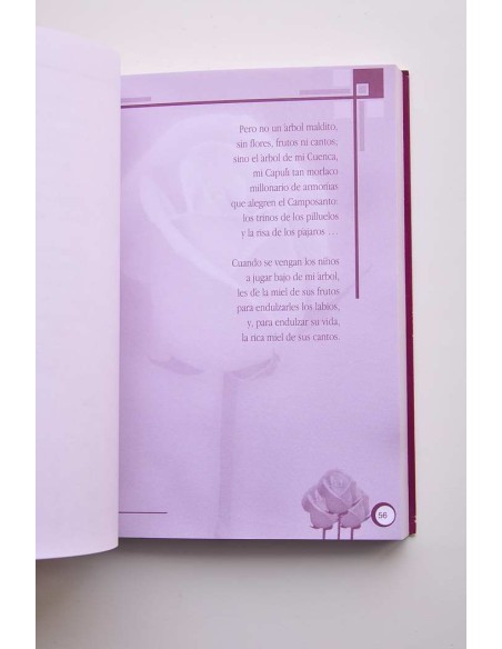 Mujeres poesía. Recopilación de escritos de mujeres cuencanas