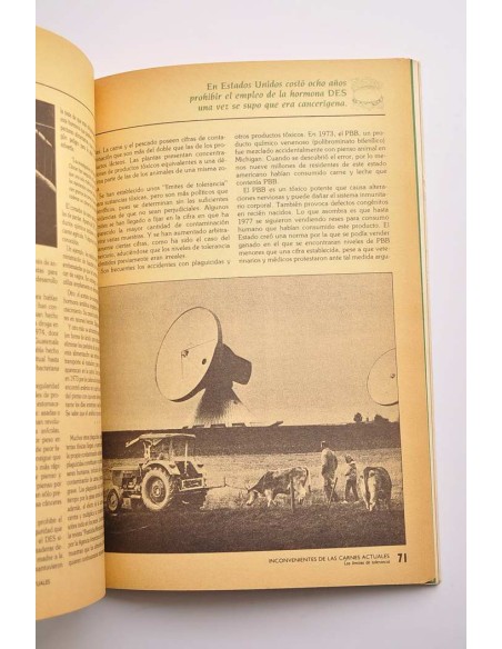 La alternativa vegetariana