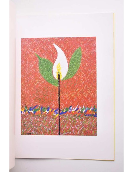Antonio Mir. Flores