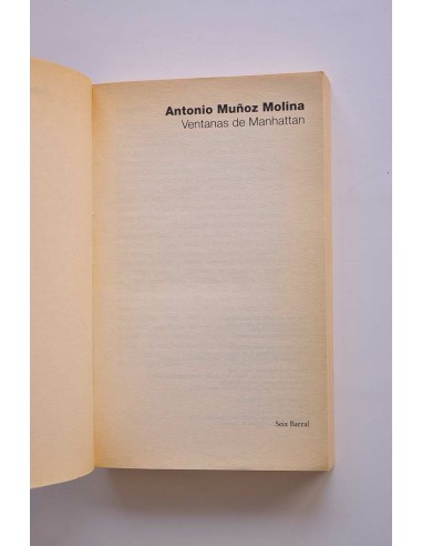 Ventanas de Manhattan