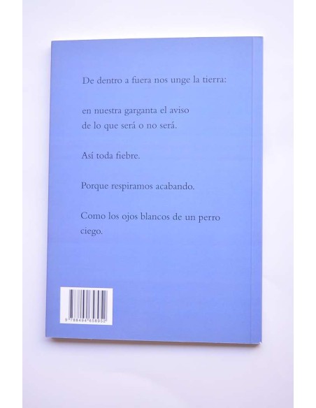 Arrecia