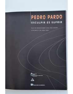 Pedro Pardo. Esculpir es sufrir 2