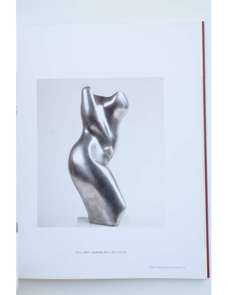 Pedro Pardo. Esculpir es sufrir