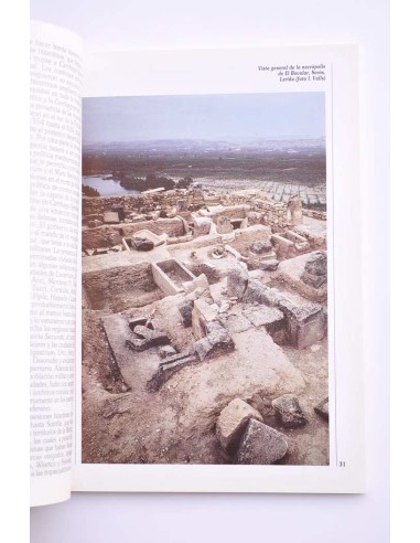 La Hispania visigoda. Del rey Ataúlfo a Don...