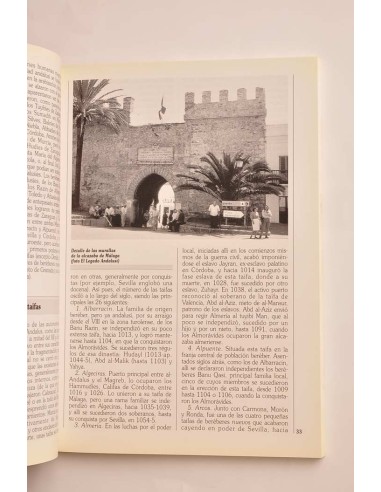 De las taifas al reino de Granada. Al-Andalus,...