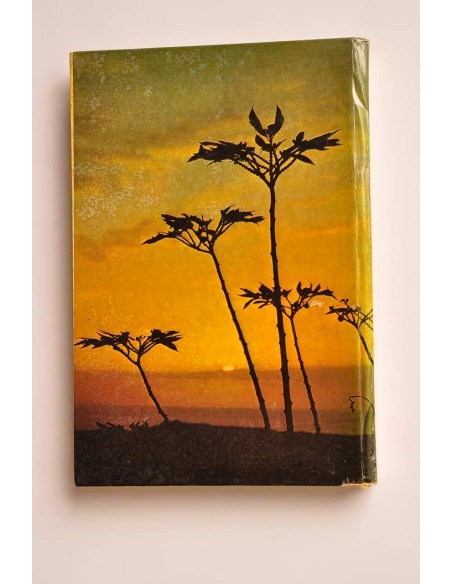 Tenerife, La Palma, Gomera, Hierro