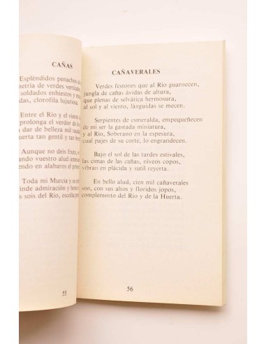 Añoranzas huertanas. Romances y sonetos