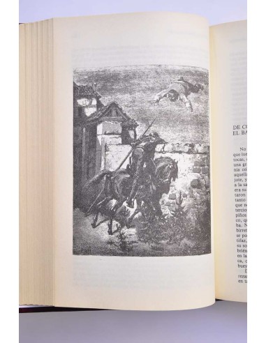 Don Quijote de la Mancha