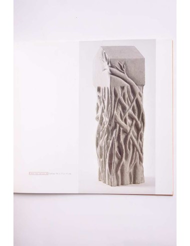 Carmen Baena. Del agua y el aire