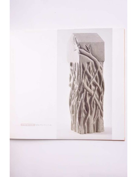 Carmen Baena. Del agua y el aire