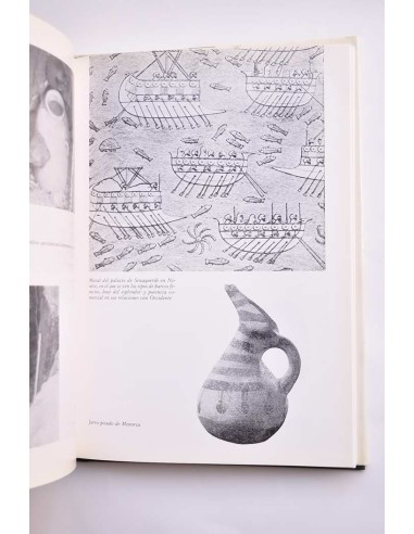 Tartessos. La ciudad sin historia