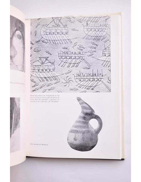 Tartessos. La ciudad sin historia