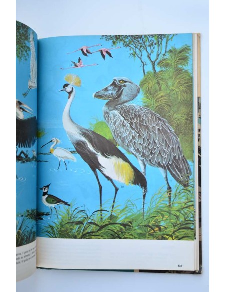 Nuestro mundo en color. Enciclopedia juvenil ilustrada