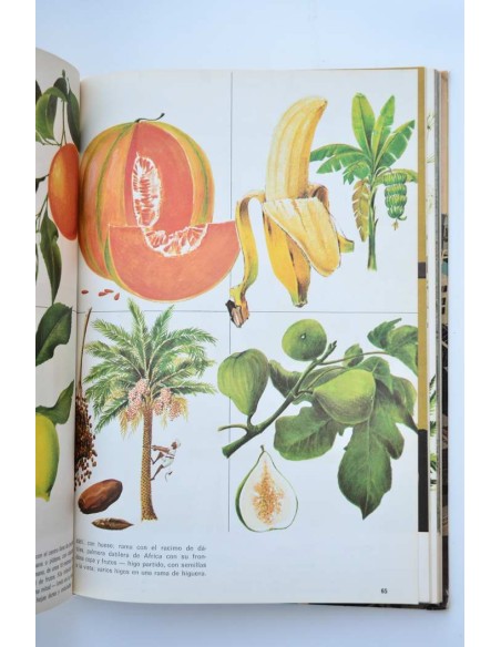 Nuestro mundo en color. Enciclopedia juvenil ilustrada