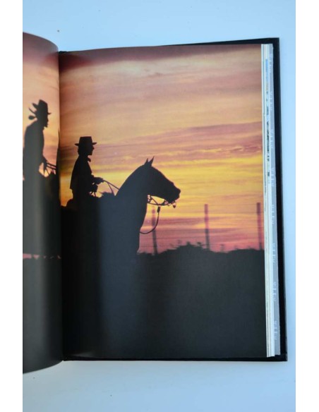 José Gervasio Artigas. Gaucho y confederado